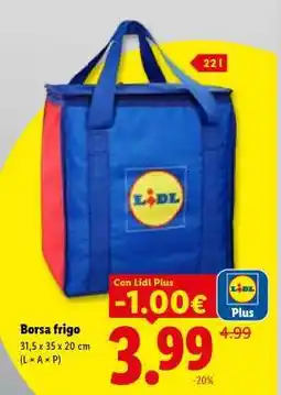Lidl BORSA FRIGO offerta