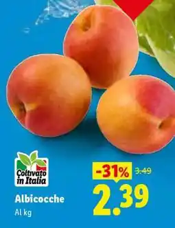 Lidl Albicocche offerta