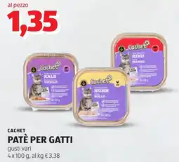 ALDI Cachet PATÈ PER GATTI offerta