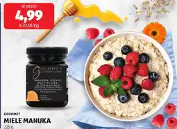 ALDI Gourmet miele manuka offerta