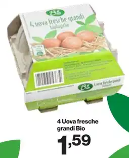 In'S Mercato 4 Uova fresche grandi Bio offerta