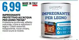 Eurospin SHOPPIV IMPRENGNANTE PER LEGNO offerta