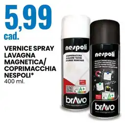 Eurospin Vernice Spray Lavagna Magnetica / Coprimacchia Nespoli offerta