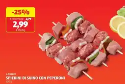ALDI SPIEDINI DI SUINO CON PEPERONI offerta