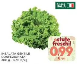 Orvea INSALATA GENTILE offerta