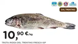 Orvea TROTA IRIDEA DEL TRENTINO FRESCA IGP offerta