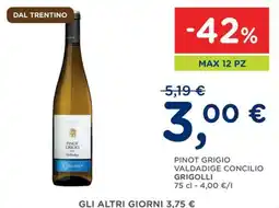 Orvea PINOT GRIGIO CONCILIO offerta