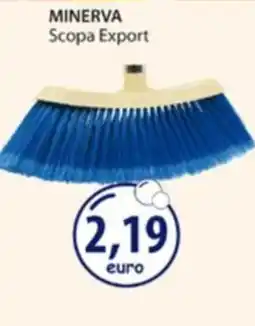 Acqua & Sapone MINERVA Scopa Export offerta