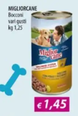 Acqua & Sapone Bocconini vari gusti Miglior cane offerta