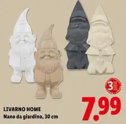 Lidl LIVARNO HOME Nano da giardino offerta