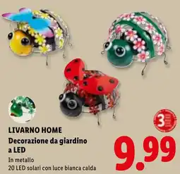 Lidl LIVARNO HOME Decorazione da giardino a LED offerta
