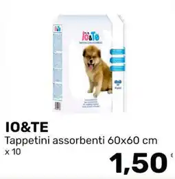 Iper Tosano IO&TE Tappetini assorbenti offerta