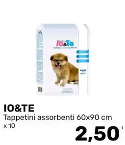 Iper Tosano IO&TE Tappetini assorbenti offerta