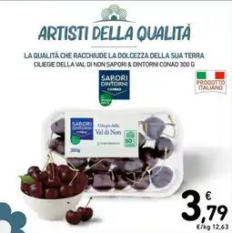 Spazio Conad Ciliegie della Val di Non Saporì & Dintorni Conad offerta