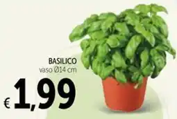 Spazio Conad BASILICO offerta