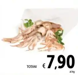 Spazio Conad TOTANI offerta