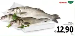 Spazio Conad SPIGOLA offerta