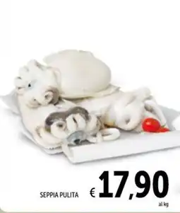 Spazio Conad SEPPIA PULITA offerta