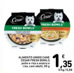 Spazio Conad ALIMENTO UMIDO CANE CESAR FRESH BOWLS offerta