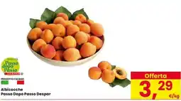 Interspar Albicocche Passo Dopo Passo Despar offerta