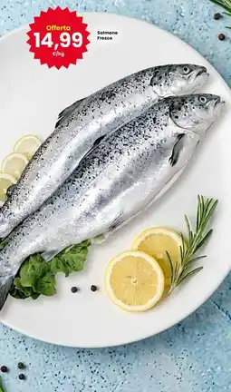 Interspar Salmone Fresco offerta