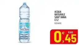 Ard Discount Acqua Naturale Sant'Anna offerta