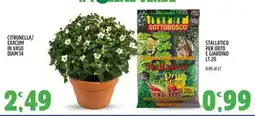 Ard Discount Sottobosco Stallatico per Orto Giardino offerta