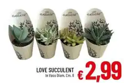 IperFamila LOVE SUCCULENT offerta