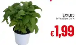 IperFamila BASILICO offerta