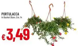 IperFamila PORTULACCA offerta
