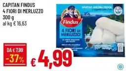 IperFamila CAPITAN FINDUS 4 FIORI DI MERLUZZO offerta