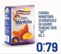 Ard Discount Farina Manitoba Sfornasole offerta