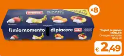 Ipercoop Yogurt cremoso MÜLLER offerta