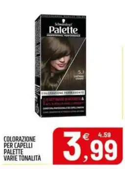 Ard Discount Schwarzkopf Palette offerta