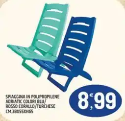 Ard Discount SPIAGGINA IN POLIPROPILENE offerta