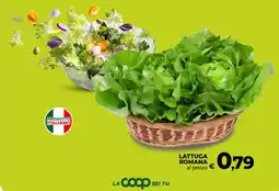 Ipercoop LATTUGA ROMANA offerta