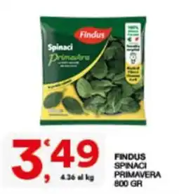 Sisa Findus Spinaci Primavera offerta