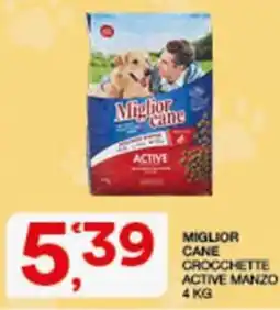 Sisa Miglior Cane Crocchette Active Manzo offerta