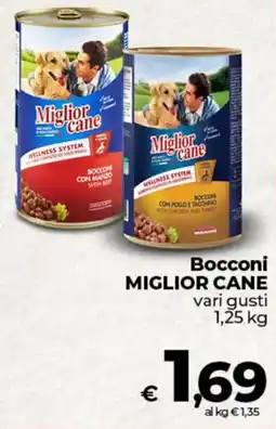 Ipercoop Bocconi MIGLIOR CANE offerta