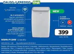 Sinergy HYUNDAI CALDO / FREDDO WSHN-P12HW offerta
