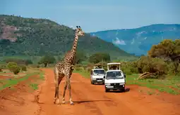 MD Discount MERE E SAFARI, WATAMU offerta