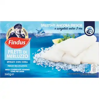 Spazio Conad FILETTI DI MERLUZZO FINDUS offerta