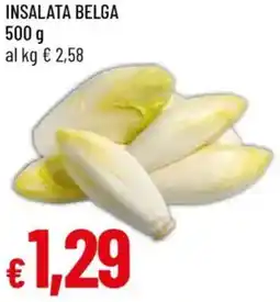 Galassia Insalata belga offerta