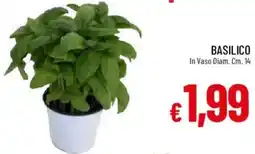 Galassia Basilico offerta