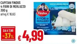 Galassia Capitan findus 4 fiori di merluzzo offerta