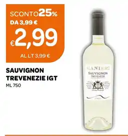 Ekom Manieri Sauvignon Trevenezie IGT offerta