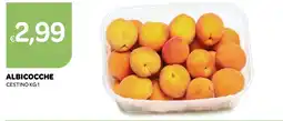 Ekom ALBICOCCHE offerta