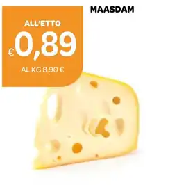 Ekom MAASDAM offerta