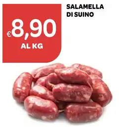 Ekom SALAMELLA DI SUINO offerta
