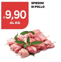 Ekom SPIEDINI DI POLLO offerta